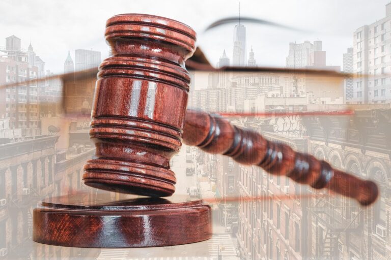 Contrats de pension et impayés : quels sont les recours ? 2 hammer, law, justice, judge, auction, judgement, authority, courtroom, offer, legislation, penalty, judge, judge, auction, auction, courtroom, courtroom, courtroom, courtroom, courtroom, legislation, penalty